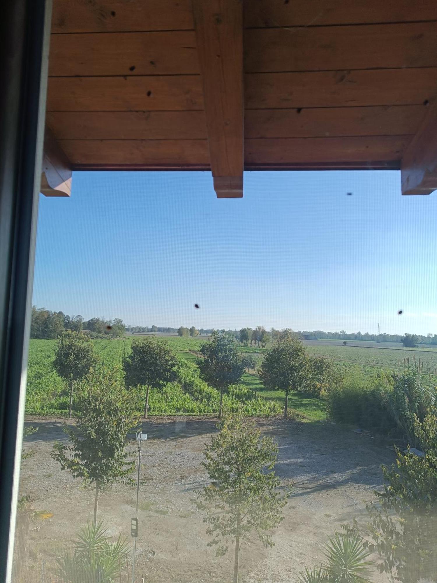 Agriturismo Le Fontanelle Da Valente Montichiari Extérieur photo